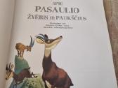 Apie Pasaulio žvėris ir paukščius - nuotraukos Nr. 2
