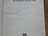 Fotoalbumas "Po baroko skliautais" (A. Spelskis) - nuotraukos Nr. 3