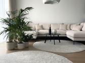 Velvetinė sofa kampas - nuotraukos Nr. 3