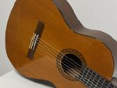 Yamaha gitara - nuotraukos Nr. 2