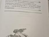 Rusų kalba : Евангелие - Biblija - nuotraukos Nr. 11