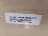 Parduodami paveikslai - nuotraukos Nr. 22