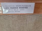 Parduodami paveikslai - nuotraukos Nr. 29