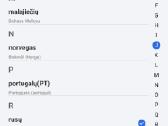 Kalbų vertimo ausinukai - nuotraukos Nr. 11