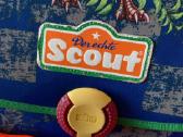 Mokyklinė kuprinė Scout - nuotraukos Nr. 4