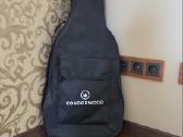 Elektrine gitara su kubu - nuotraukos Nr. 14