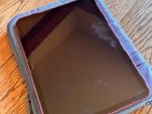 iPad 11" wi-fi 128 GB Pink - nuotraukos Nr. 5