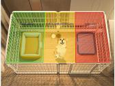 Metalinis narvas šuniui - nuotraukos Nr. 5