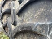 650/65r38 Firestone padangos - nuotraukos Nr. 7