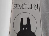 Semčiukai - nuotraukos Nr. 2