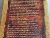 Džiaugsmo edelveisas,arba besimokant gyventi tikėj - nuotraukos Nr. 3
