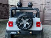 Jeep rubicon 4x4 su pultu tevams - nuotraukos Nr. 7