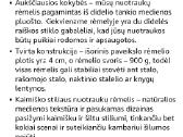 6 nuotraukų rėmelis - nuotraukos Nr. 5