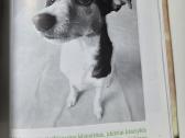 Bradley Trevor Greive Tai kas tas gyvenimas. - nuotraukos Nr. 3