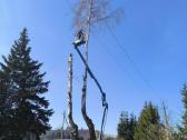Up-right tl-49 alkuninis bokstelis - nuotraukos Nr. 8