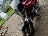 Suzuki gsf 600 - nuotraukos Nr. 3