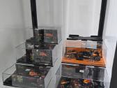 Stovai Minichamps, Spark 1:43 F1 modeliams - nuotraukos Nr. 2