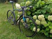Giant Contend 2 SL disc 2019 - nuotraukos Nr. 2