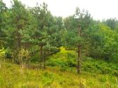 1,7972 ha sklypas Matakienių k., Švenčionių r. - nuotraukos Nr. 3