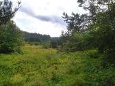 1,7972 ha sklypas Matakienių k., Švenčionių r. - nuotraukos Nr. 6