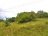1,7972 ha sklypas Matakienių k., Švenčionių r. - nuotraukos Nr. 10