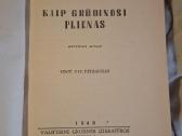 Klasika - nuotraukos Nr. 21