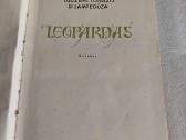 Leopardas - nuotraukos Nr. 2