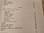 Salomėja Nėris raštai 3 knygos - nuotraukos Nr. 11
