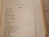 Salomėja Nėris raštai 3 knygos - nuotraukos Nr. 19