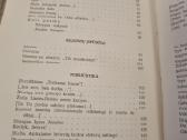 Salomėja Nėris raštai 3 knygos - nuotraukos Nr. 20