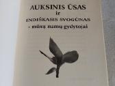 Auksinis ūsas ir indiškasis svogūnas - nuotraukos Nr. 2