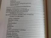 Auksinis ūsas ir indiškasis svogūnas - nuotraukos Nr. 5