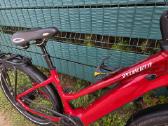 Specialized auto pavaros dirzas 90nm 710wh M - nuotraukos Nr. 3
