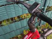 Specialized auto pavaros dirzas 90nm 710wh M - nuotraukos Nr. 5