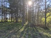 Žemės sklypai aukštaitijoje - nuotraukos Nr. 7