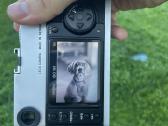 Leica M8 + Ttartisan 50mm f/0.95 Asph - nuotraukos Nr. 20