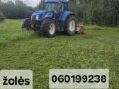 Medžių genėjimas.žemės frezavimas. Klaipedos.r - nuotraukos Nr. 18