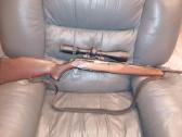 Sauer 303 3006 - nuotraukos Nr. 2