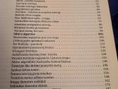Trispalvė Irkutsko karštyje knyga - nuotraukos Nr. 2