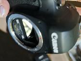 Canon 6d mark II - nuotraukos Nr. 5