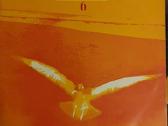 Vinilinės Plokštelės - nuotraukos Nr. 5