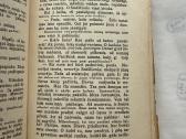 Žygyje 1940 m. - nuotraukos Nr. 5