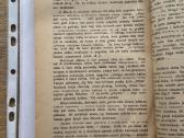 Senovės istorijos apsakymėliai II dalis. Roma - nuotraukos Nr. 5