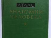 Sinelnikovo žmogaus anatomijos atlasas - nuotraukos Nr. 2