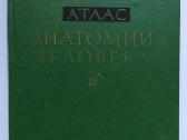 Sinelnikovo žmogaus anatomijos atlasas - nuotraukos Nr. 3