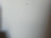 Rašomasis stalas Ikea - nuotraukos Nr. 5