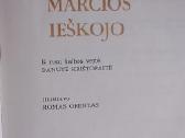 Kaip pelė marčios ieškojo - nuotraukos Nr. 2