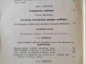 "Lietuvos Šaulių s-gos leidinys" 1934m. - nuotraukos Nr. 7
