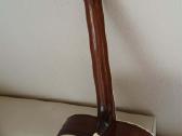 Gitara Washburn D10sk - nuotraukos Nr. 9