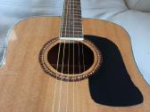 Gitara Washburn D10sk - nuotraukos Nr. 10